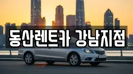 서울특별시 강남구 도곡동 렌트카 전문 동산렌트카 강남지점