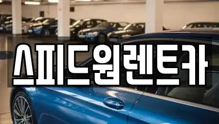 서울특별시 강남구 도곡동 렌트카 전문 스피드원렌트카