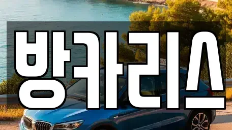 서울특별시 강남구 도곡동 장기렌트카 전문 방카리스