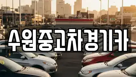서울특별시 강남구 도곡동 중고차매매 전문 수원중고차경기카