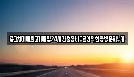 서울특별시 서대문구 천연동 중고차매입 전문 중고차매매최고가매입24시간출장비무료견적현장방문지누카