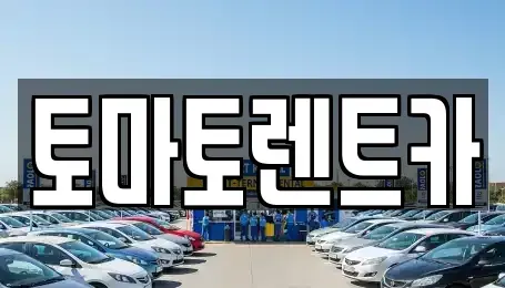 서울특별시 성동구 상왕십리동 렌트카 전문 토마토렌트카