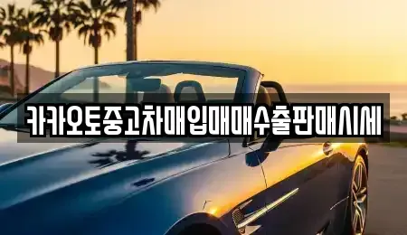 서울특별시 성동구 상왕십리동 중고차매입 전문 카카오토중고차매입매매수출판매시세