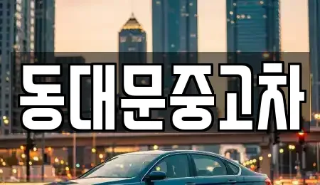 서울특별시 성북구 안암동5가 중고차매매 전문 동대문중고차