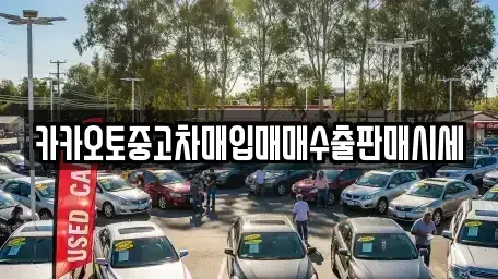 서울특별시 성북구 안암동5가 중고차매입 전문 카카오토중고차매입매매수출판매시세