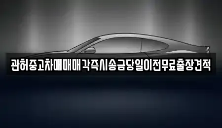 서울특별시 중구 남대문로4가 중고차 전문 관허중고차매매매각즉시송금당일이전무료출장견적