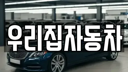 서울특별시 중구 남대문로4가 중고차매매 전문 우리집자동차