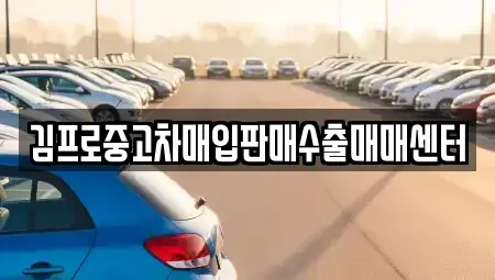 서울특별시 중구 남대문로4가 중고차매입 전문 김프로중고차매입판매수출매매센터