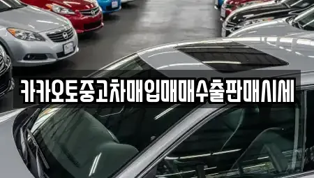 서울특별시 중구 남대문로4가 중고차매입 전문 카카오토중고차매입매매수출판매시세