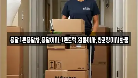 충청남도 서천군 시초면 원룸이사 3곳 안내