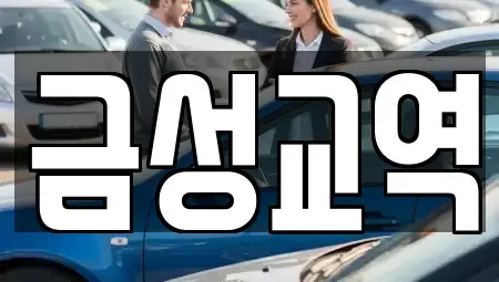 울산광역시 남구 두왕동 렌트카 전문 금성교역