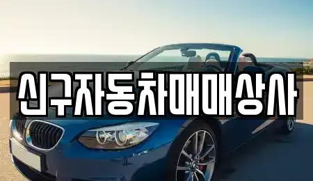 울산광역시 남구 두왕동 중고차 전문 신구자동차매매상사