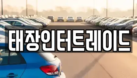 울산광역시 남구 두왕동 중고차 전문 태장인터트레이드