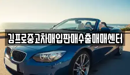 인천 중구 경동 중고차 전문 김프로중고차매입판매수출매매센터