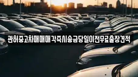 인천광역시 남동구 도림동 중고차 전문 관허중고차매매매각즉시송금당일이전무료출장견적