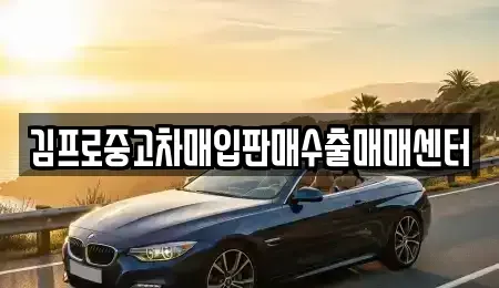 인천광역시 중구 항동6가 중고차매입 전문 김프로중고차매입판매수출매매센터