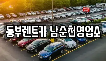 전남 순천시 금곡동 렌트카 전문 동부렌트카 남순천영업소