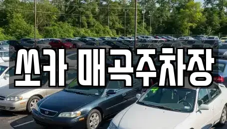 전남 순천시 금곡동 렌트카 전문 쏘카 매곡주차장