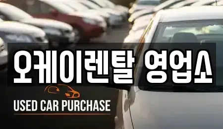 전남 장성군 서삼면 렌트카 전문 오케이렌탈 영업소