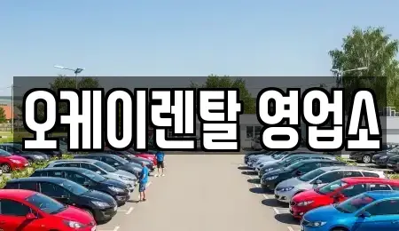 전남 장성군 서삼면 렌트카 전문 오케이렌탈 영업소