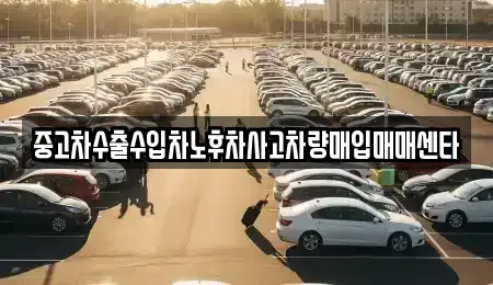 전남 장성군 서삼면 중고차매매 전문 중고차수출수입차노후차사고차량매입매매센타