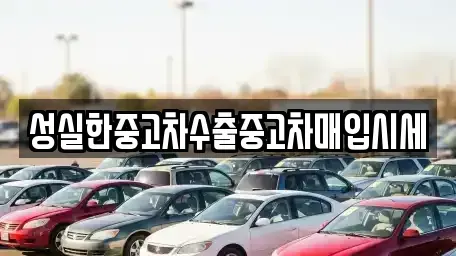 전남 장성군 서삼면 중고차매입 전문 성실한중고차수출중고차매입시세