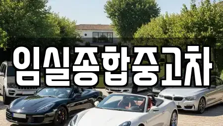 전북 임실군 임실읍 렌트카,단기렌트카,장기렌트카,중고차,중고차매매,중고차매입
