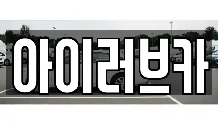 전북특별자치도 군산시 내흥동 중고차 전문 아이러브카