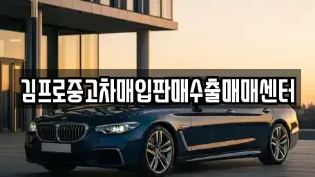 전북특별자치도 진안군 진안읍 중고차매매 전문 김프로중고차매입판매수출매매센터