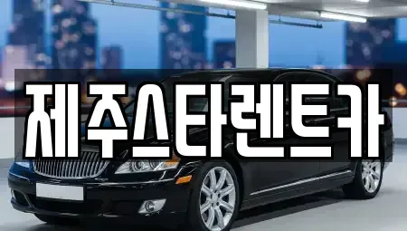 제주특별자치도 제주시 용담이동 렌트카 전문 제주스타렌트카