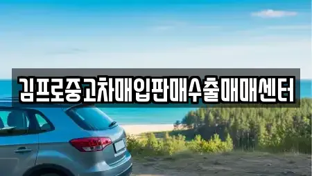 충남 계룡시 신도안면 중고차 전문 김프로중고차매입판매수출매매센터