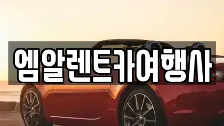 충남 공주시 월송동 렌트카 전문 엠알렌트카여행사