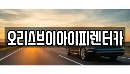 충남 공주시 월송동 렌트카 전문 오리스브이아이피렌터카
