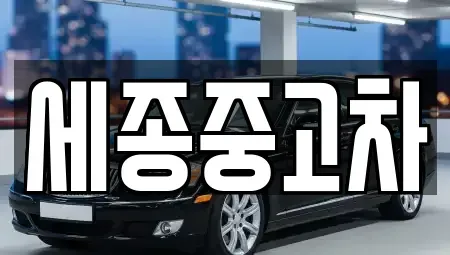 충남 공주시 월송동 중고차매매 전문 세종중고차