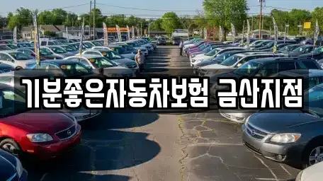 충남 금산군 남이면 렌트카 전문 기분좋은자동차보험 금산지점