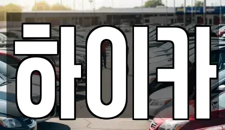 충남 금산군 남이면 중고차 전문 하이카