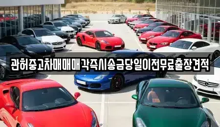 충남 천안시 동남구 봉명동 중고차 전문 관허중고차매매매각즉시송금당일이전무료출장견적
