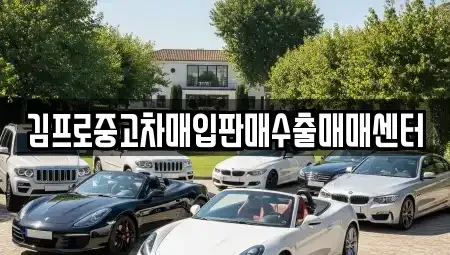 충남 천안시 동남구 봉명동 중고차 전문 김프로중고차매입판매수출매매센터