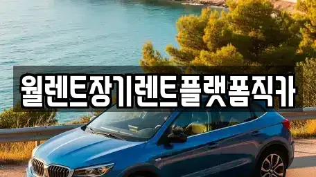 충남 천안시 서북구 입장면 장기렌트카 전문 월렌트장기렌트플랫폼직카