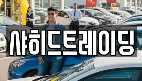 충남 천안시 서북구 입장면 중고차 전문 샤히드트레이딩