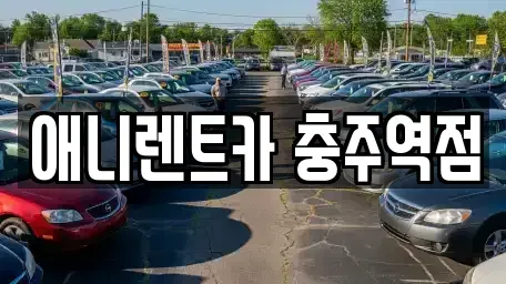 충북 충주시 살미면 렌트카 전문 애니렌트카 충주역점