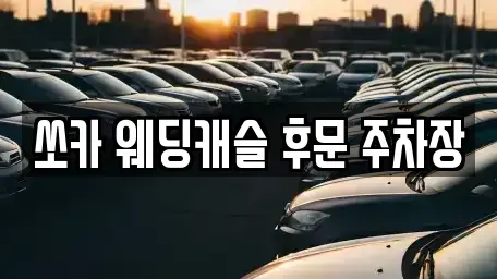 충청남도 부여군 규암면 렌트카 전문 쏘카 웨딩캐슬 후문 주차장