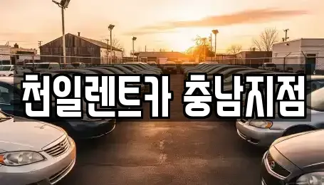 충청남도 부여군 규암면 렌트카 전문 천일렌트카 충남지점