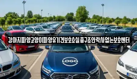 충청남도 부여군 홍산면 중고차매입 전문 강아지파양고양이파양유기견보호소실종구조안락사없는보호센터