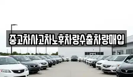 충청남도 부여군 홍산면 중고차매입 전문 중고차사고차노후차량수출차량매입