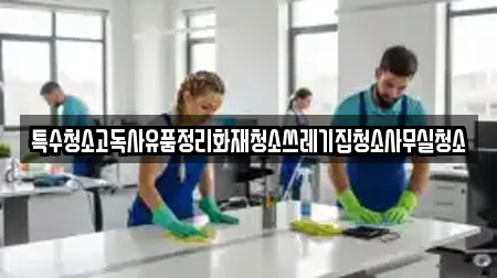 특수청소고독사유품정리화재청소쓰레기집청소사무실청소